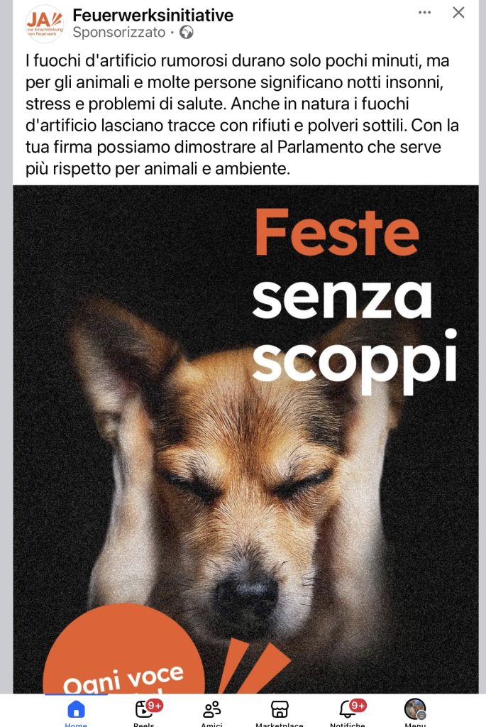 Iniziativi fuochi artificio