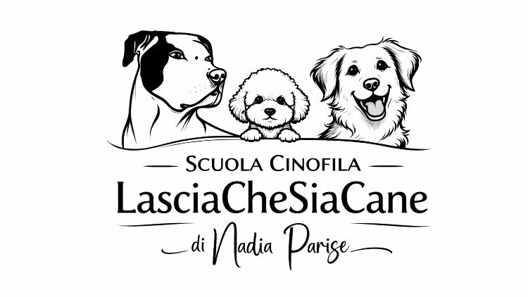 1780690434199-nuovo-logo-orizzontale.jpg