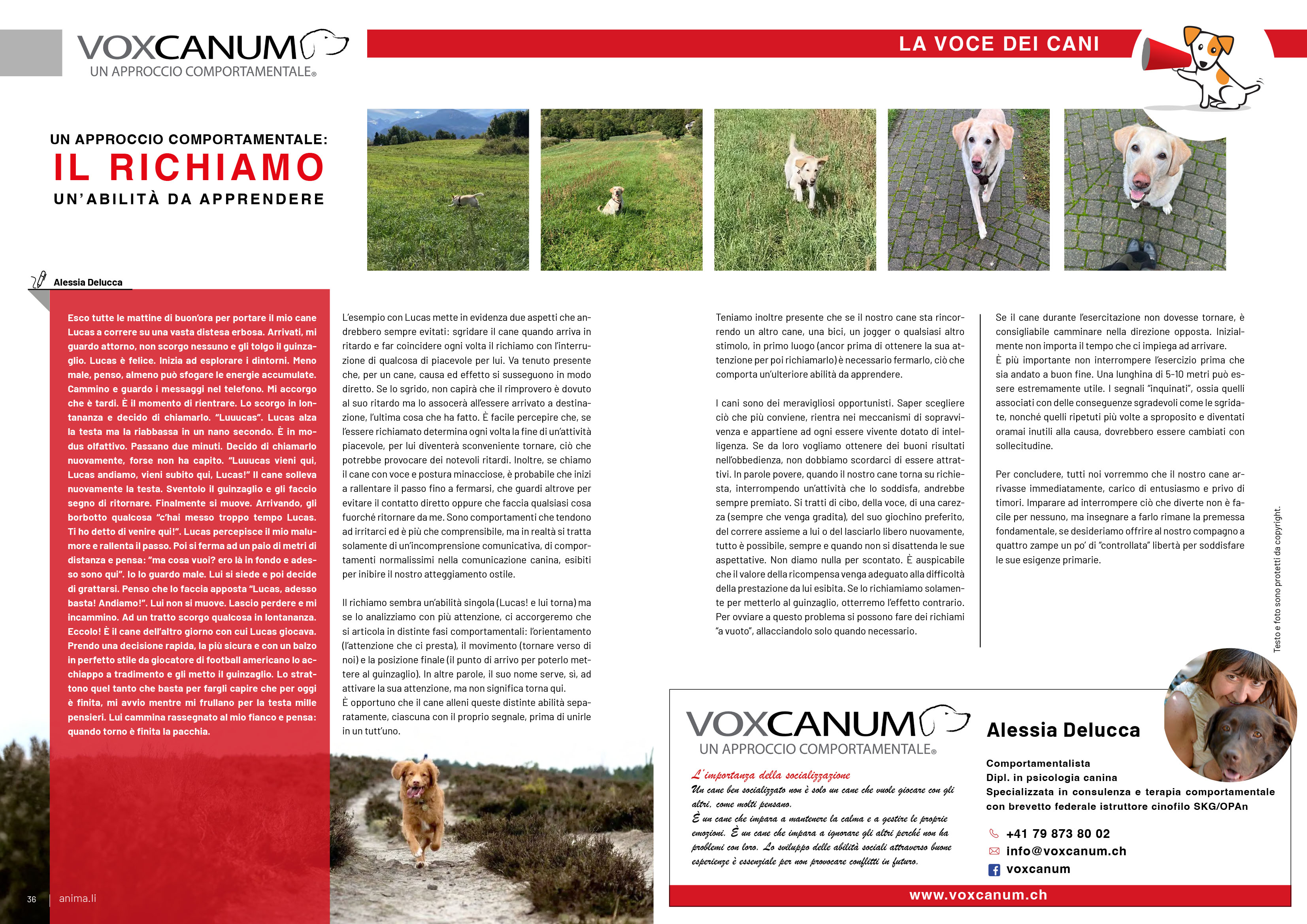 1780865664598-anima-lin133-voxcanum3.jpg