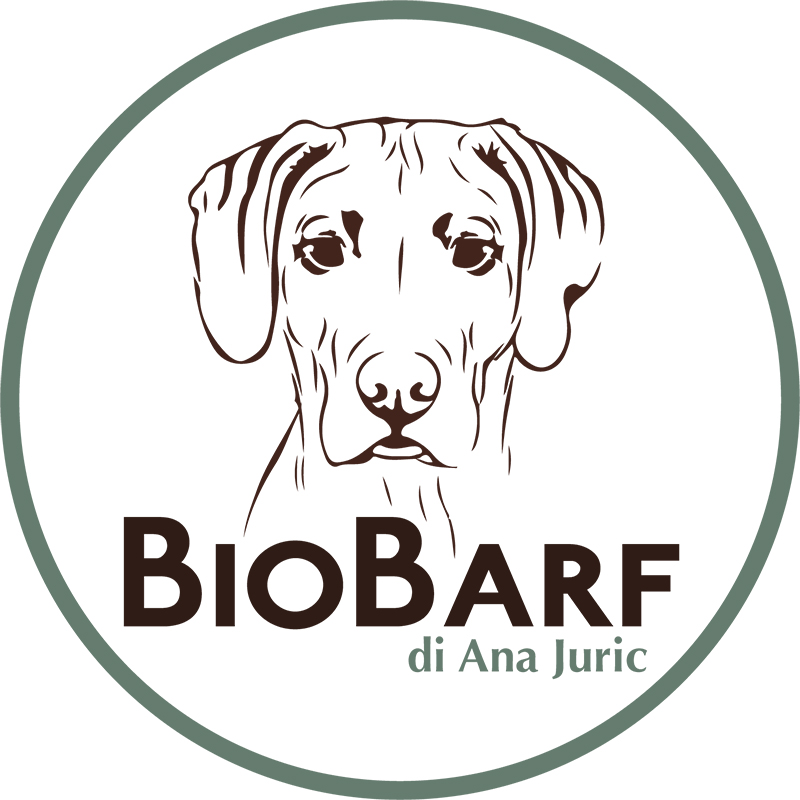 biobarf