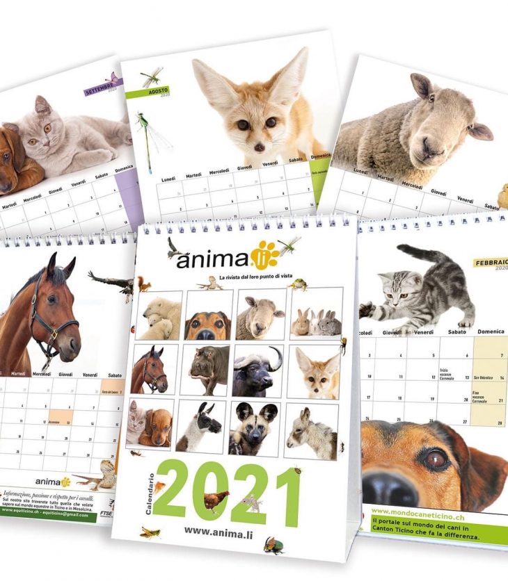 Animali Calendario