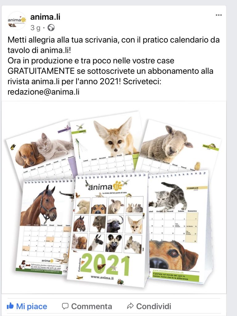 Animali Calendario 2