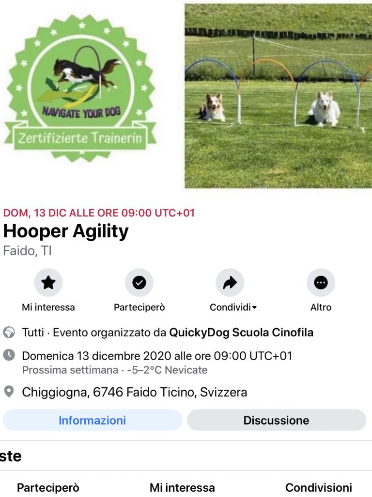 Hoopers agility 13.12.2020