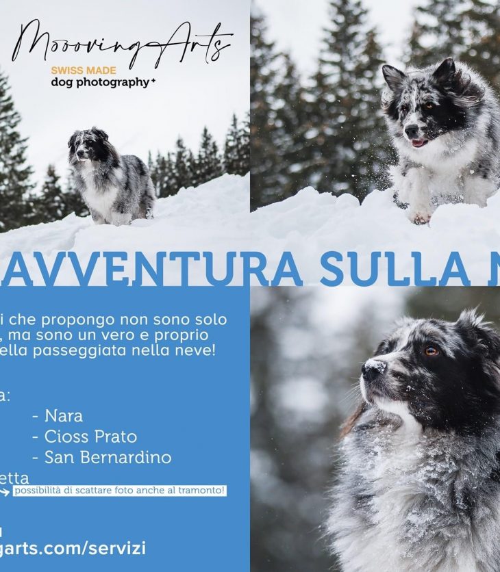 Avventure sulla neve