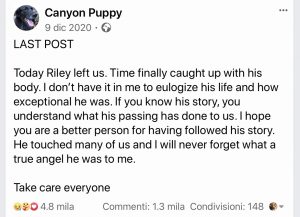 Canyon Puppy