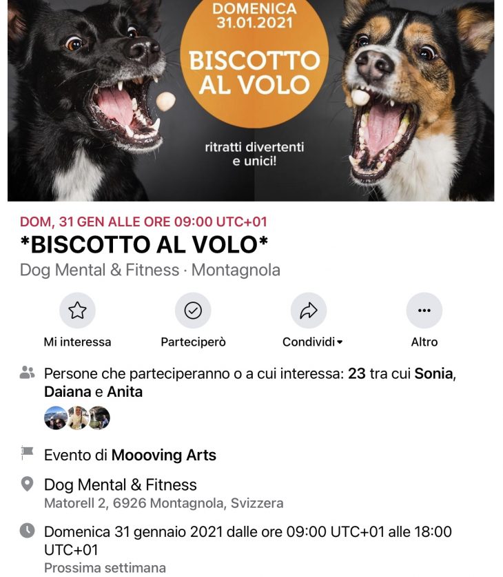 Biscotto al volo