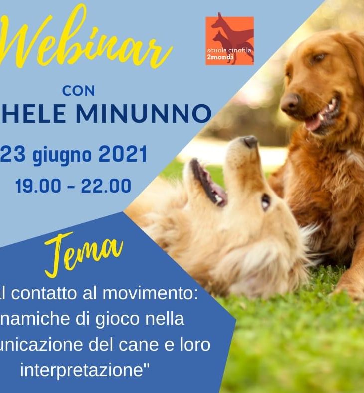 Webinair M Minunno 23.06.2021