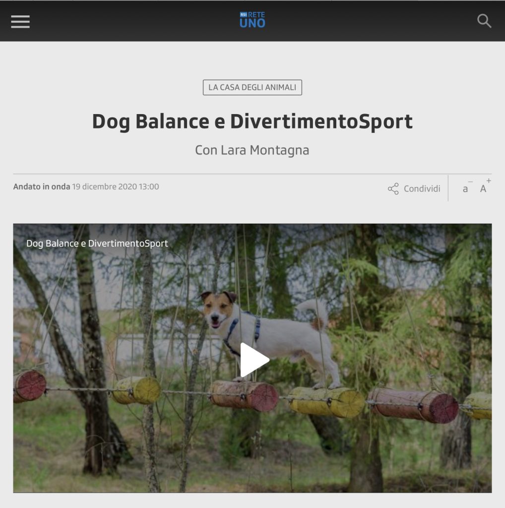 Dog Balance e DivertimentoSport