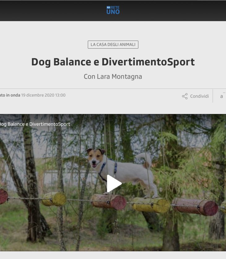 Dog Balance e DivertimentoSport