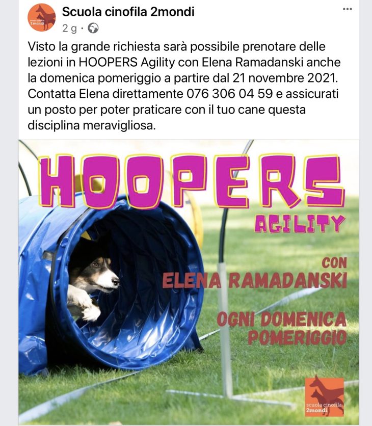 Evento HOOPERS Agility