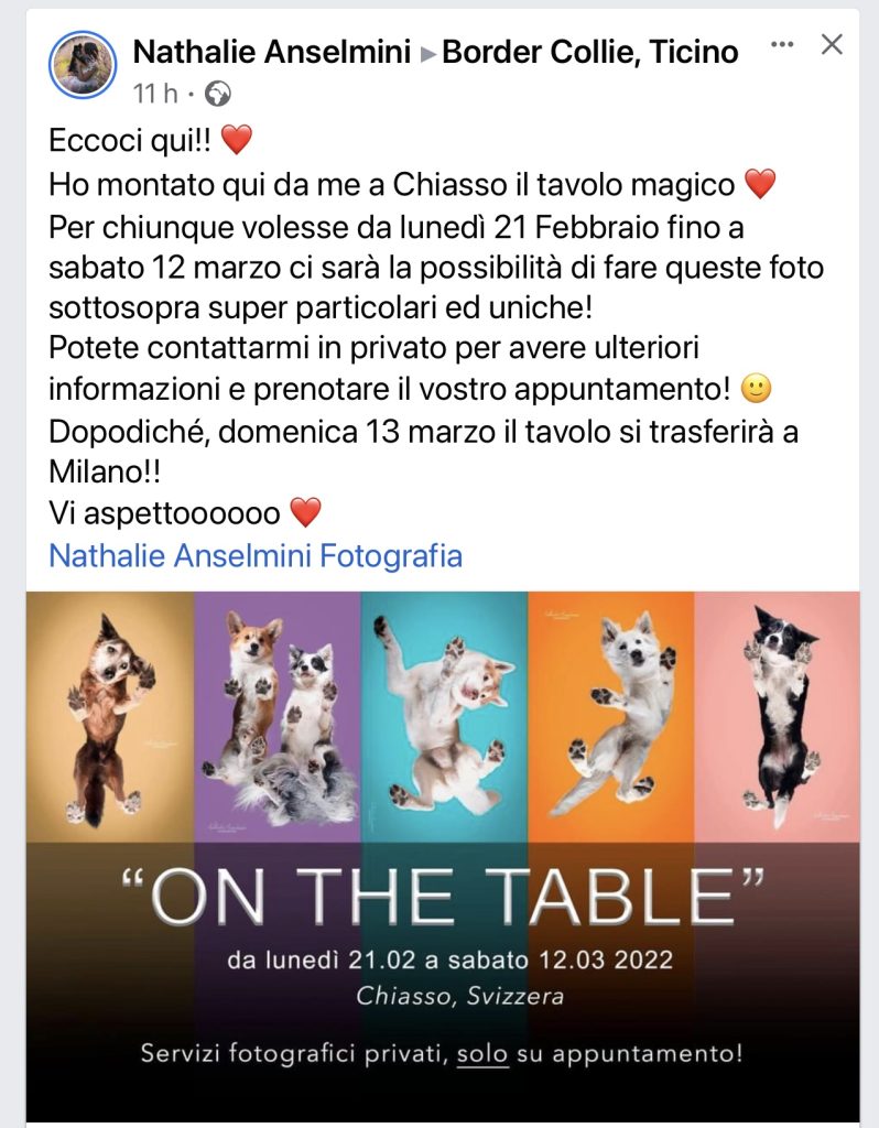 On the table Anselmini
