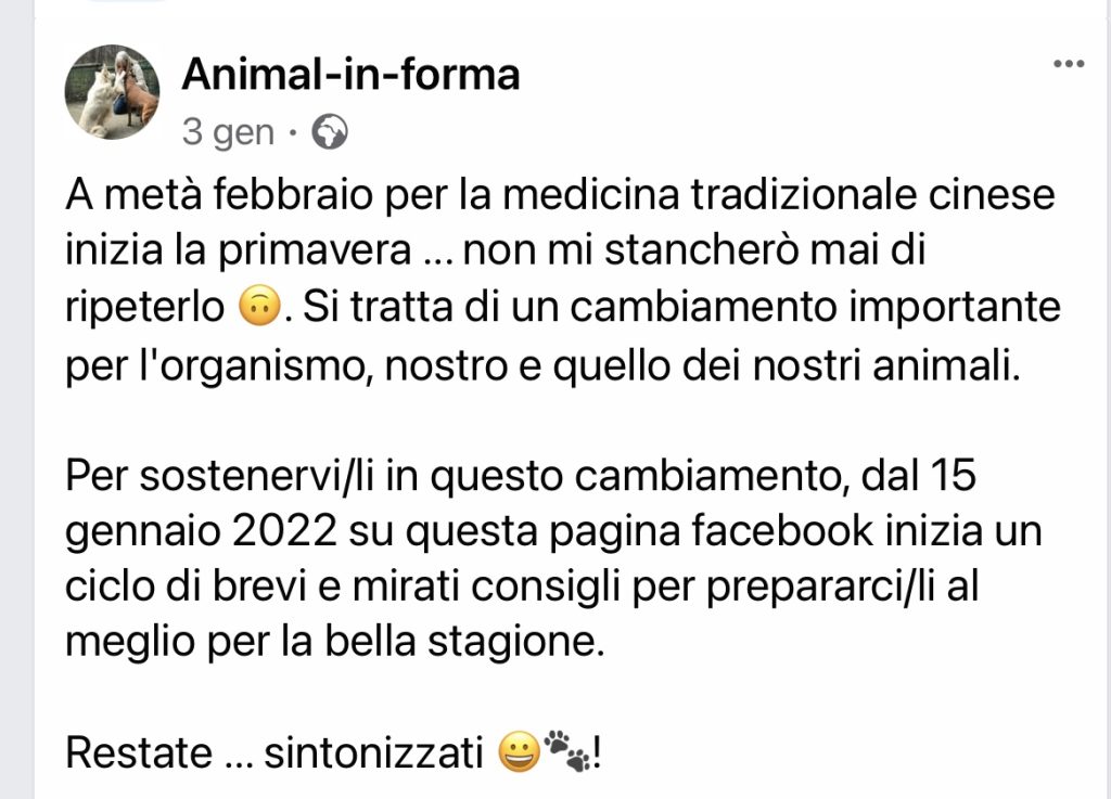 Animal in forma