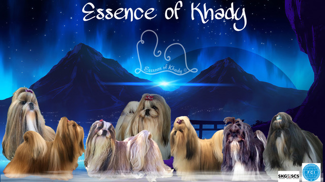 Essence of Khady
