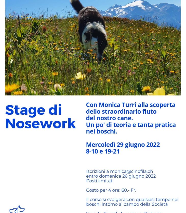 Stage di Nosework SCLD