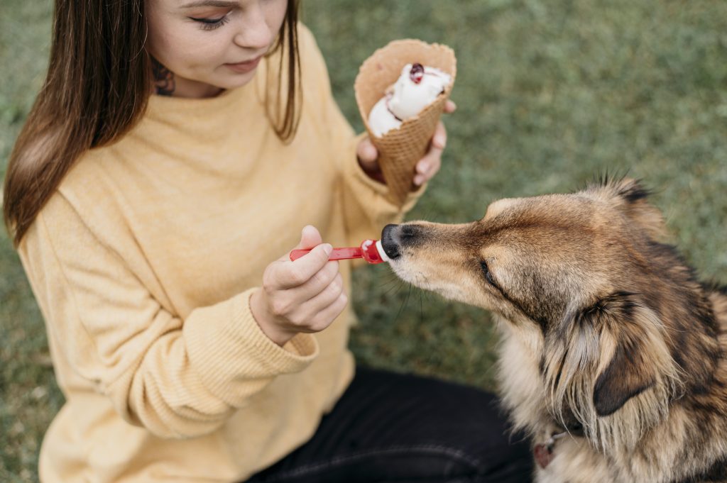 cane e gelato