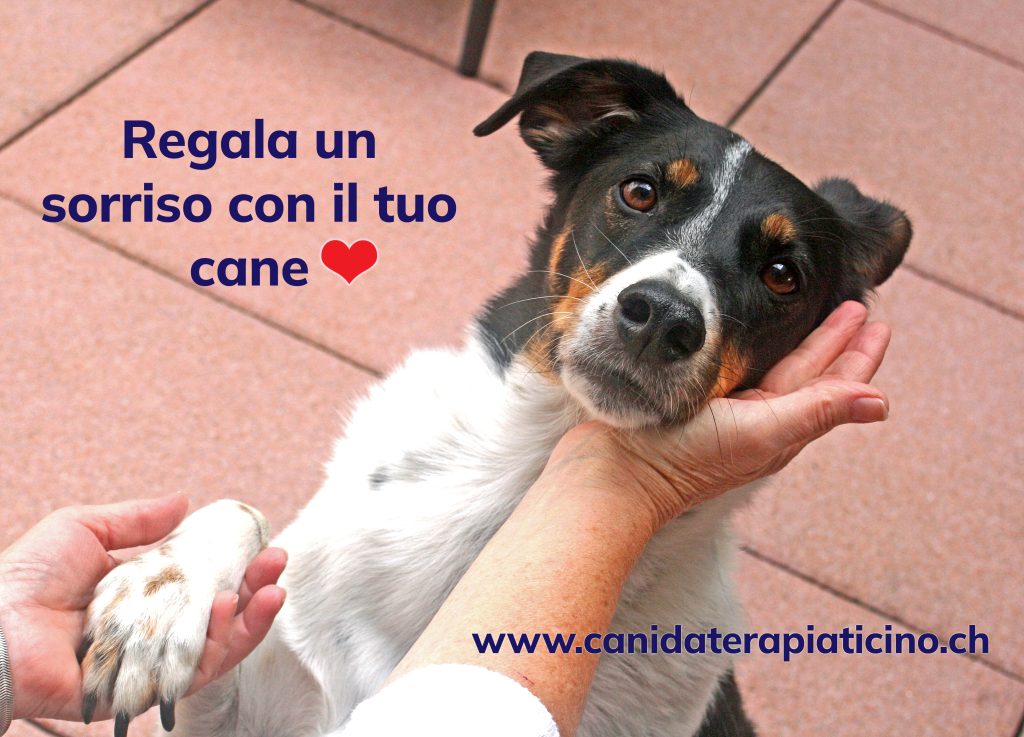 Associazione cani da terapia Ticino e Moesano