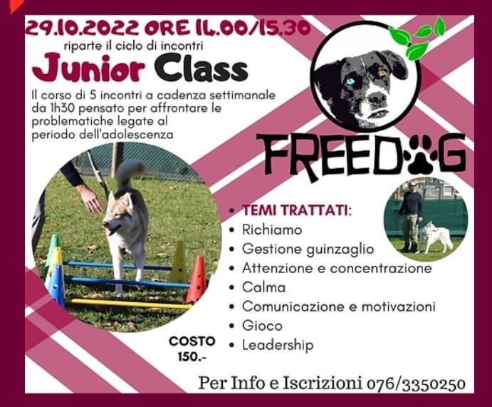 FreedogProject corso cuccioli