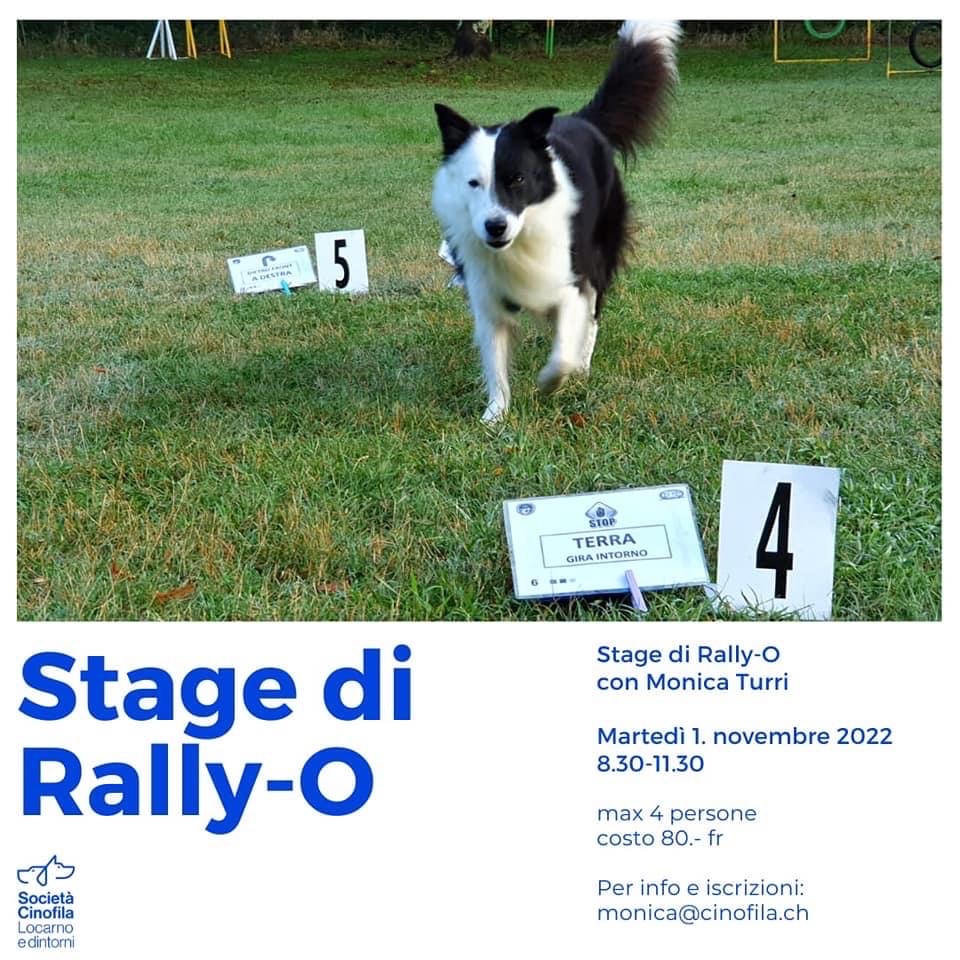 Stage Rally O SCLD