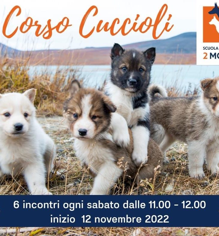 corso cuccioli 2 mondi