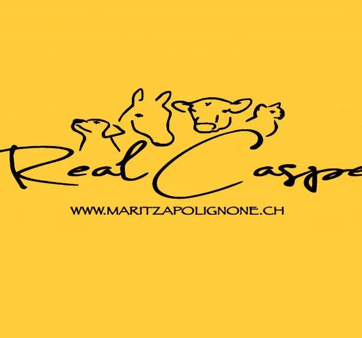 Realcasper Maritza Polignone logo
