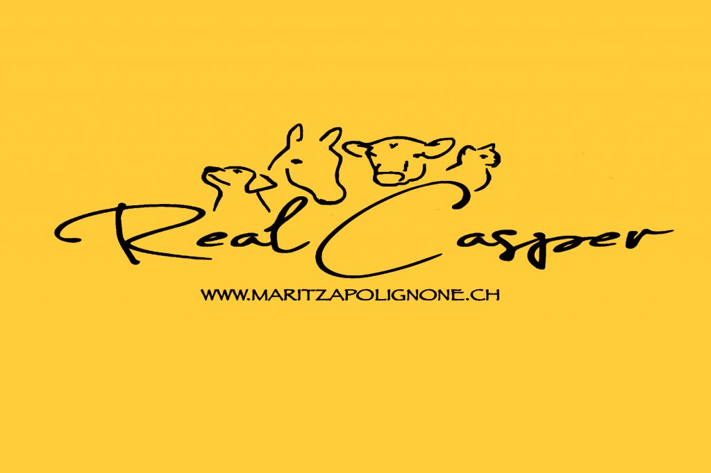 Realcasper Maritza Polignone logo