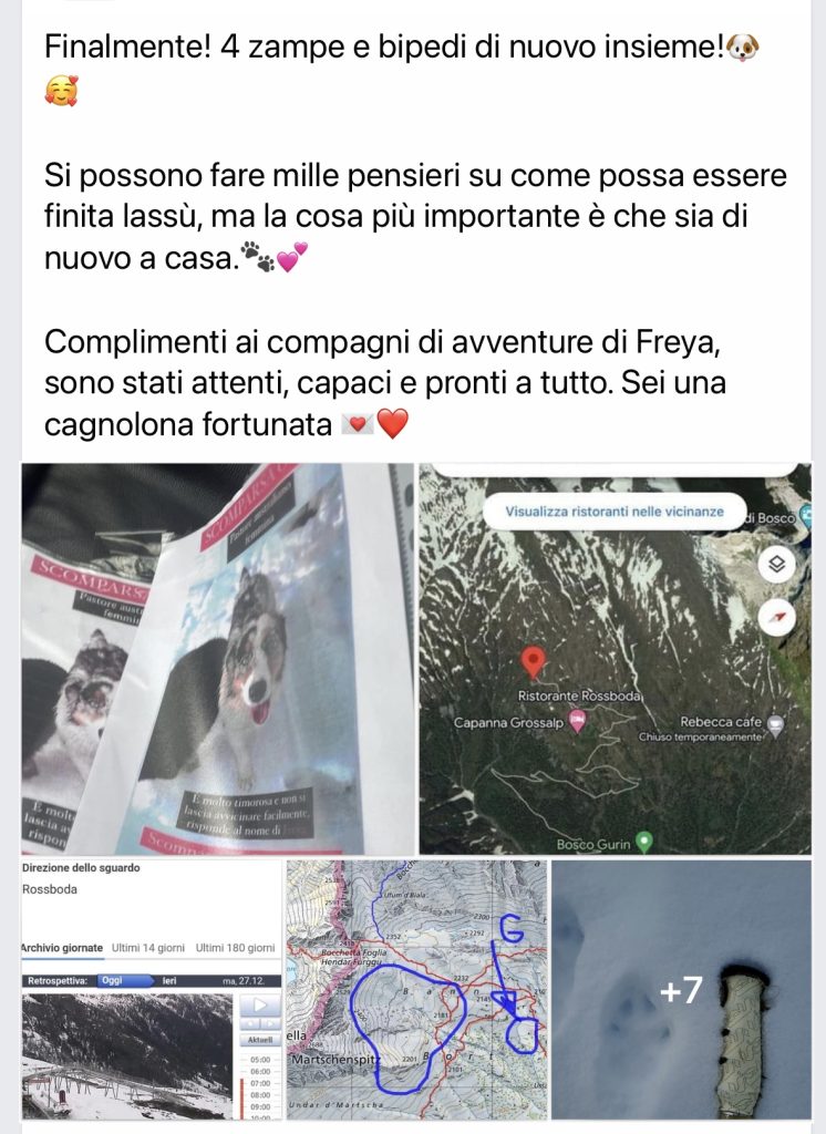 Teamricercacani Ticino Volontari Freya