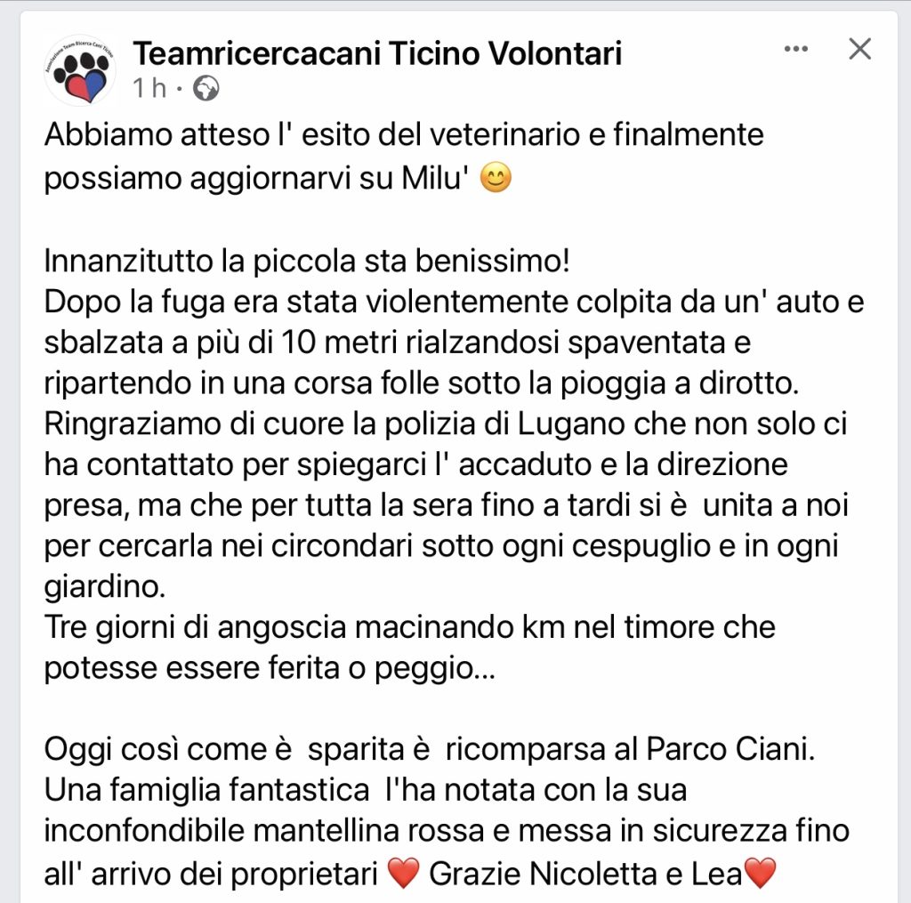 Milu Teamricercacani Ticino Volontari