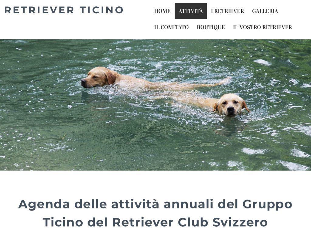 Retriver Club Ticino Addestramento efficace