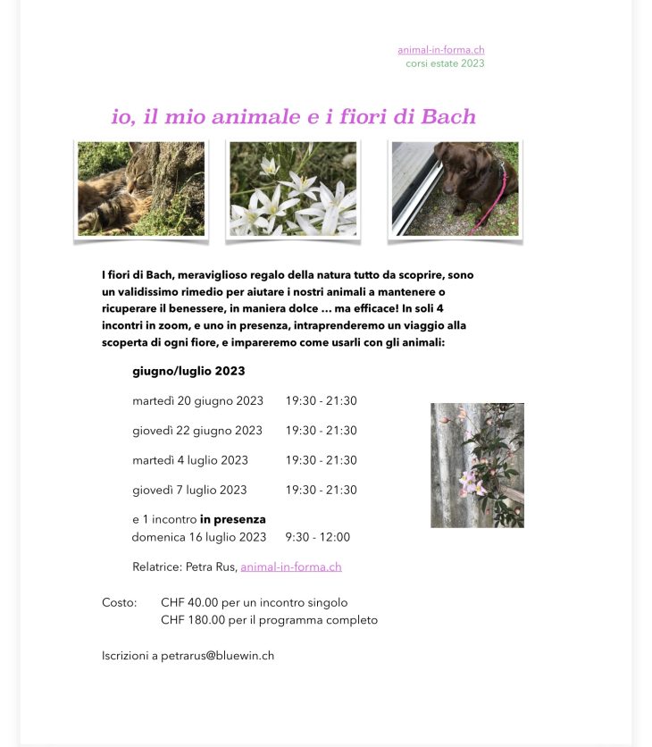 Fiori di Bach - Animal in forma