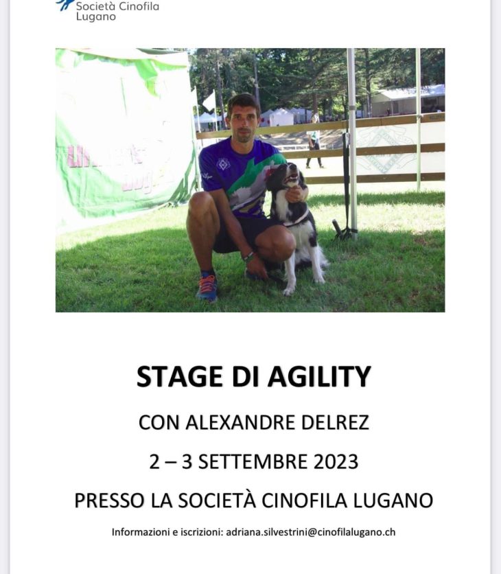Stage agility SCL