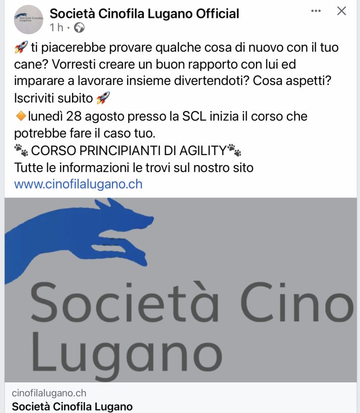 Corso agility principianti SCL