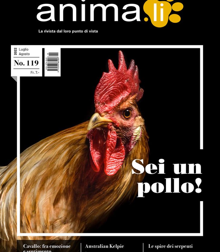 Copertina rivista animali 119