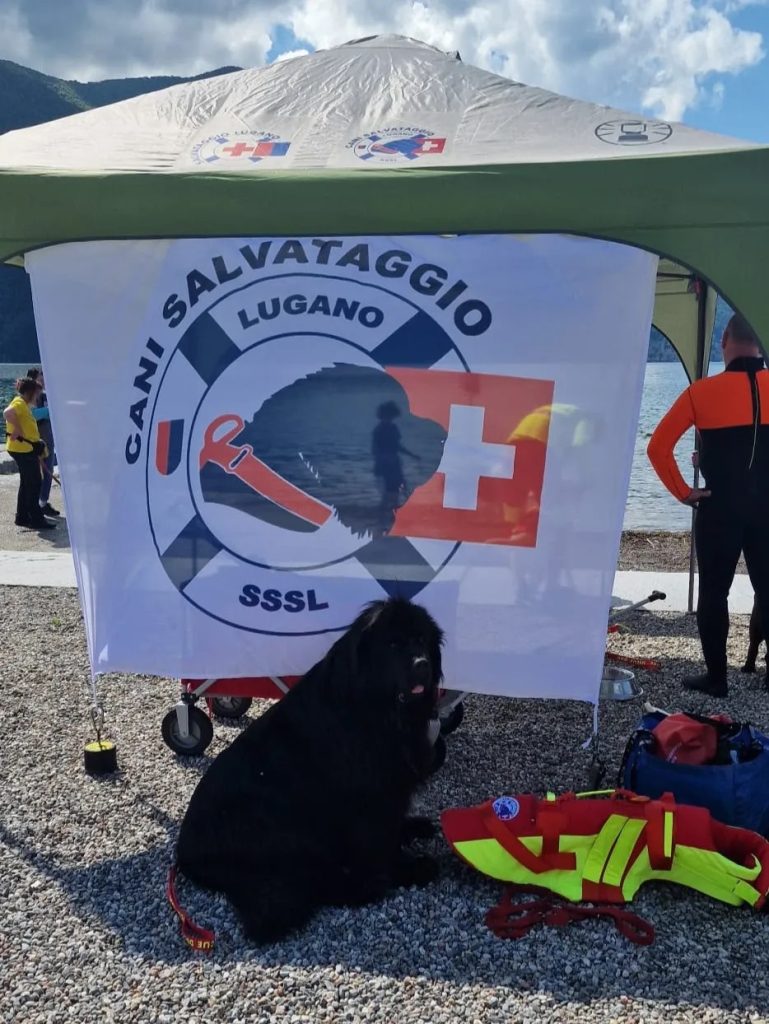 SSSL CANI SALVATAGGIO LUGANO