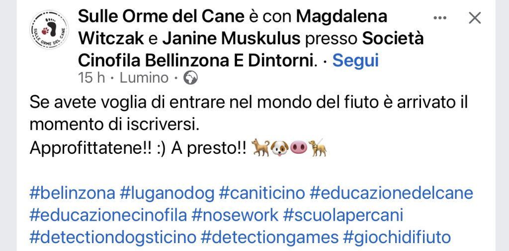 Sulle Orme del Cane Giochi di fiuto