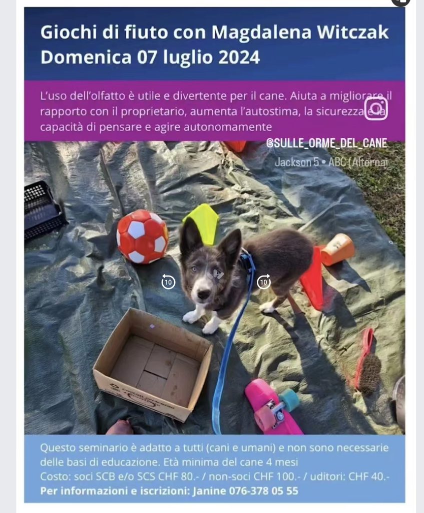 Sulle Orme del Cane Giochi di fiuto