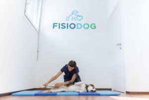 FisioDog Lamone