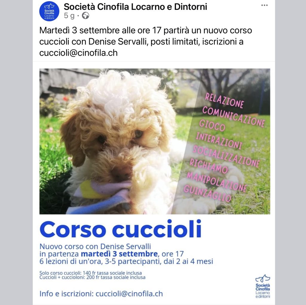 Corso cuccioli SCLD