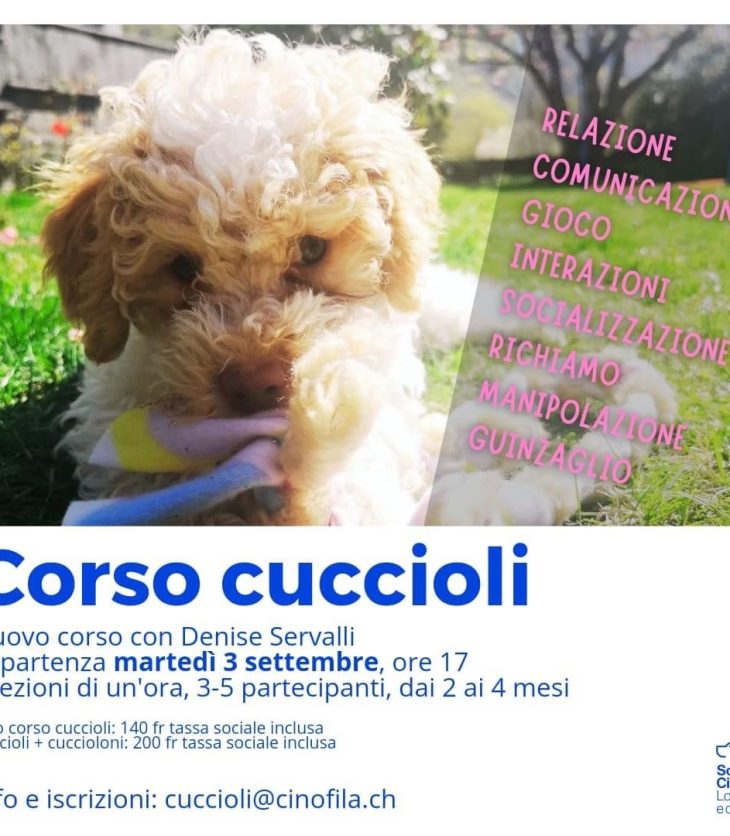 Corso cuccioli SCLD