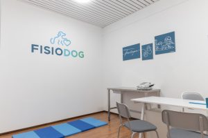 FisioDog Lamone