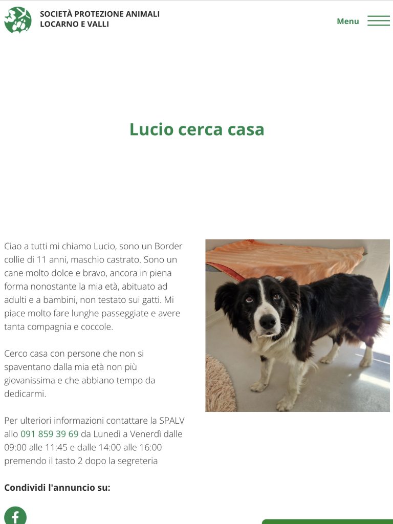 LUCIO CERCA CASA SPALV