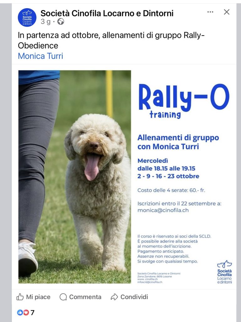 Rally-O Training SCLD