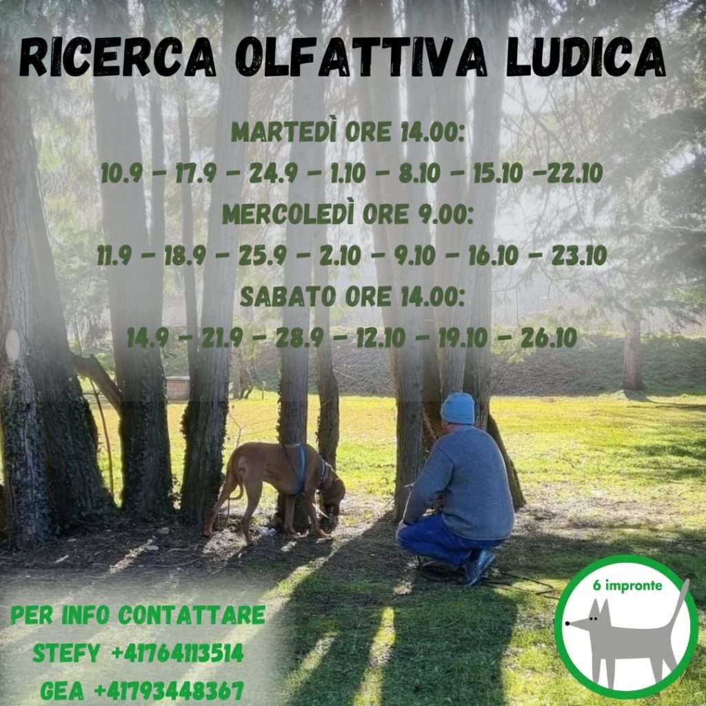 Ricerca olfattiva ludica 6 impronte