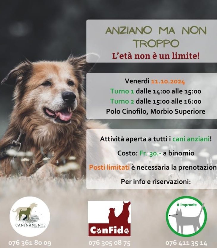 Anziano ma non troppo Caninamente