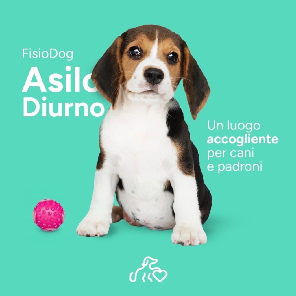 Asilo Diurno FisioDog