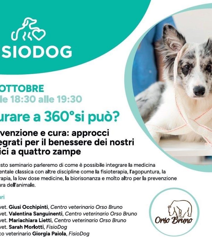 FisioDog