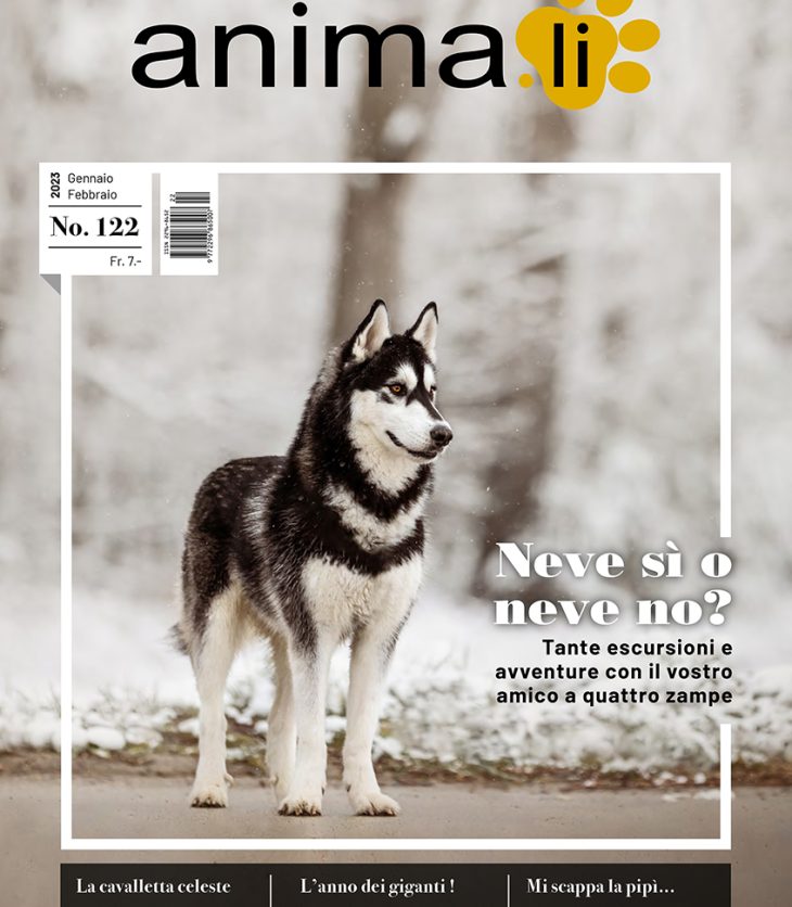 Rivista Animali copertina 122