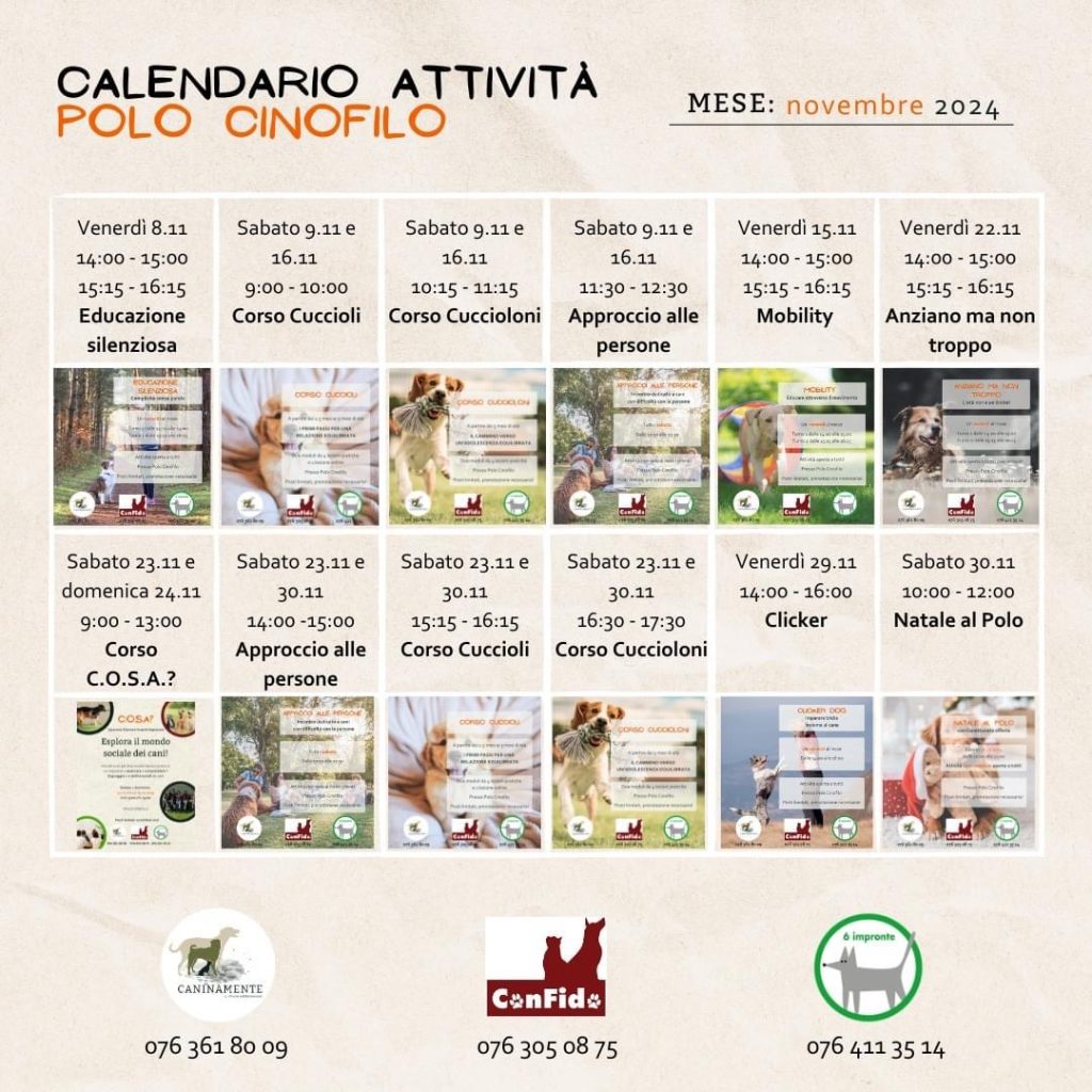 eventi novembre caninamente confido 6impronte