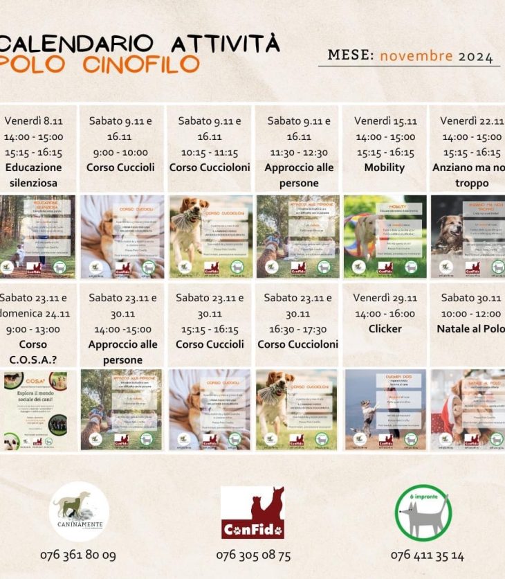 eventi novembre caninamente confido 6impronte