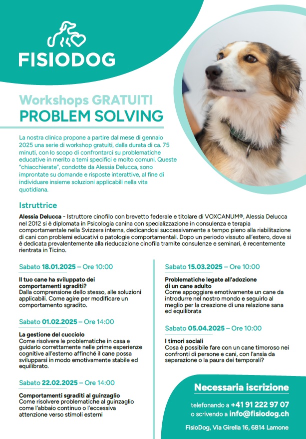 PROBLEM SOLVING FISIODOG