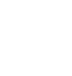 ORSO BRUNO STUDIO VET MEDICINA INTEGRATA